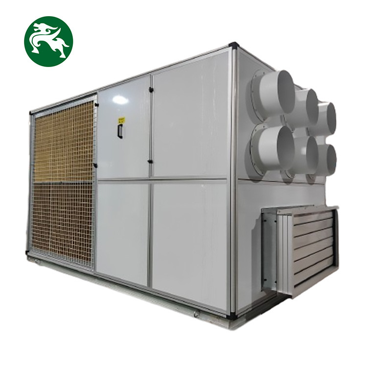 Geïntegreerde airconditioning-eenheid voor de ontvochtiging bij constante temperatuur met enkel koeling